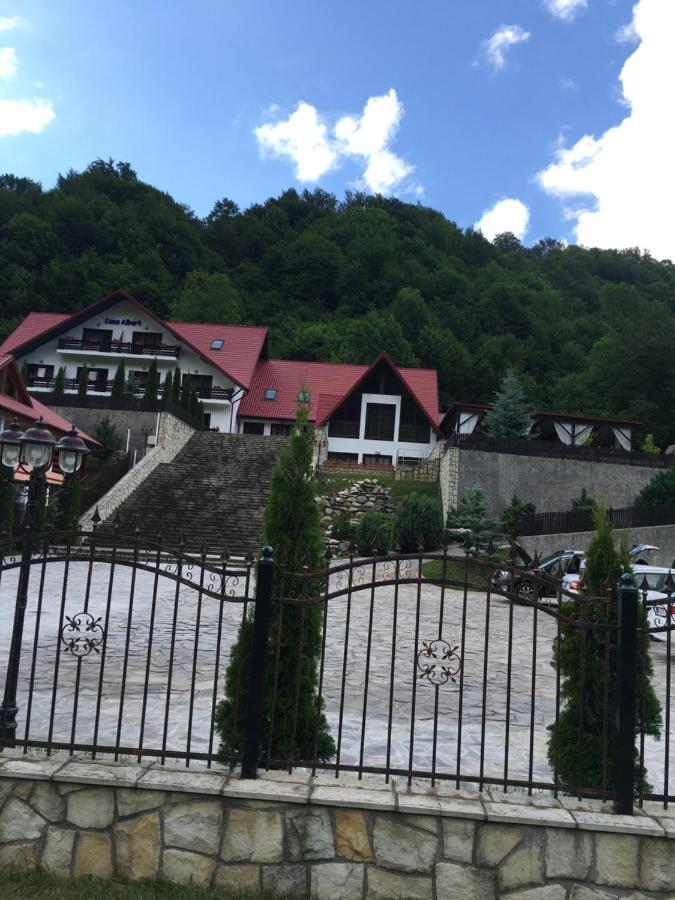 Casa Albert Hotel Lepşa Eksteriør billede